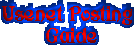 U9 Usenet Posting Guide